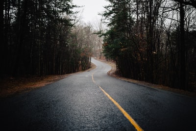 树间道路照片